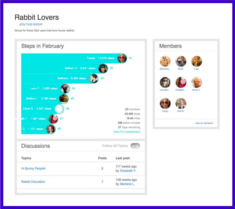 Feature on fitbit where users can compare their stats and chat